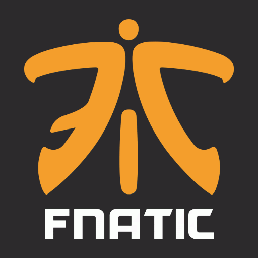 CS 1.6 Fnatic