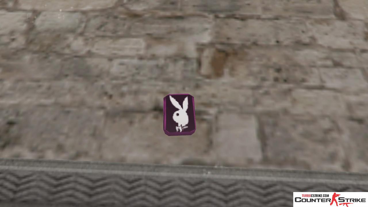 Модель рюкзака «Playboy» для CS 1.6